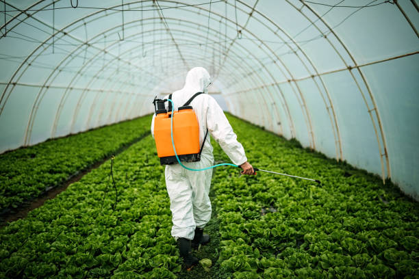 Best Affordable Pest Control Services  in West Des Moines, IA