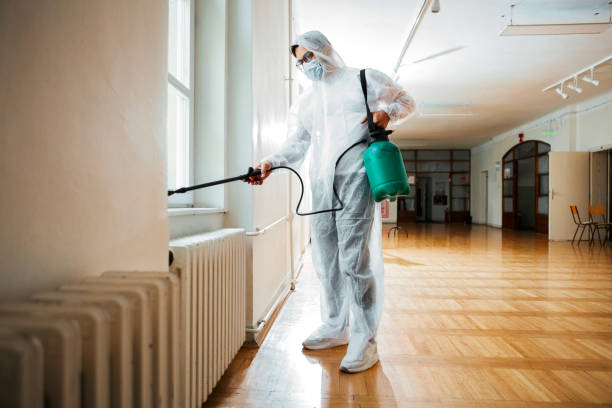 Reliable West Des Moines, IA Pest Control Solutions